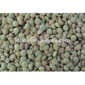 Lentilhas verdes secadas chinesas novas da colheita